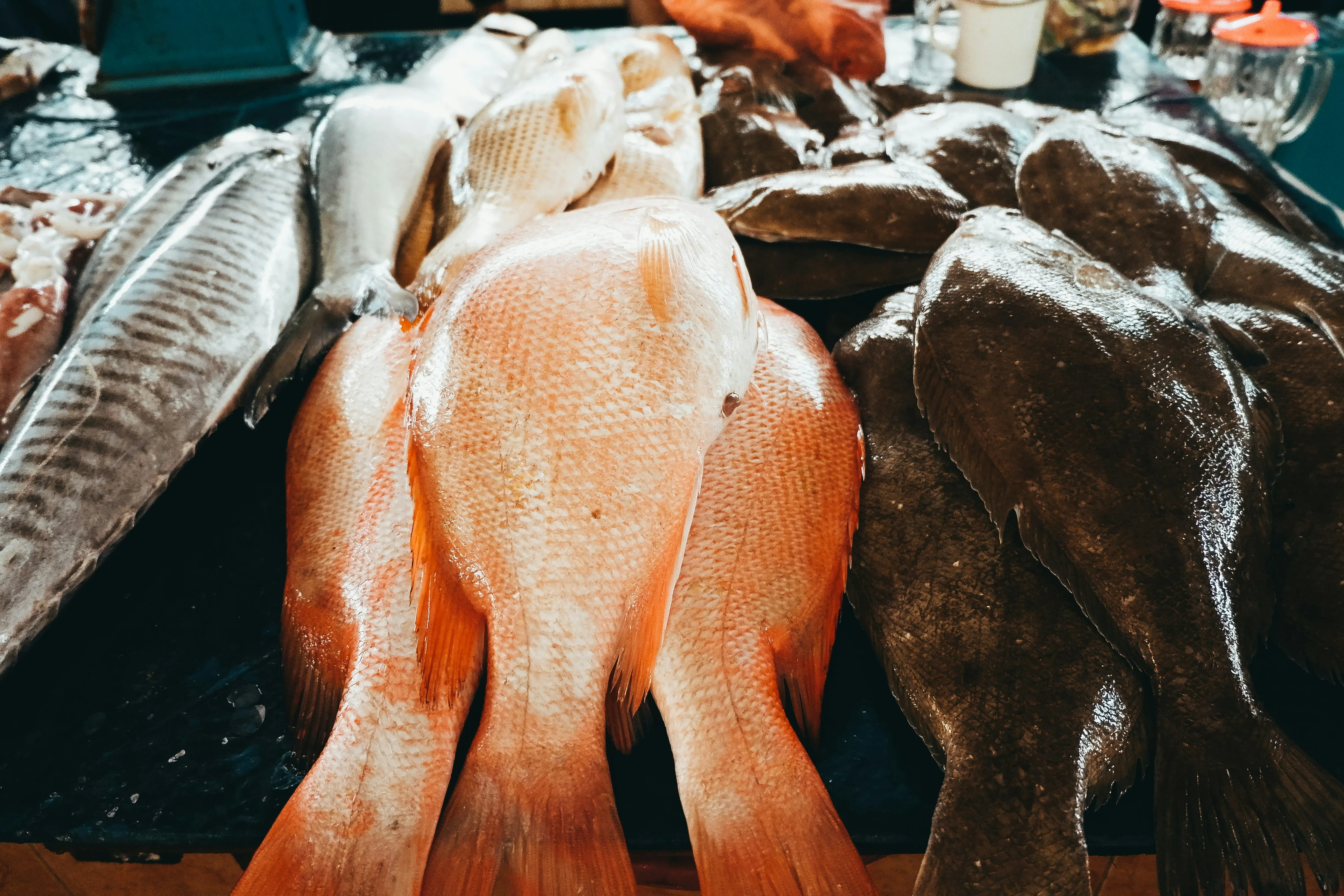Disiplin Fiskal di Ujung Tanduk: Strategi Pemerintah Hadapi Risiko Defisit Akibat Gejolak Global