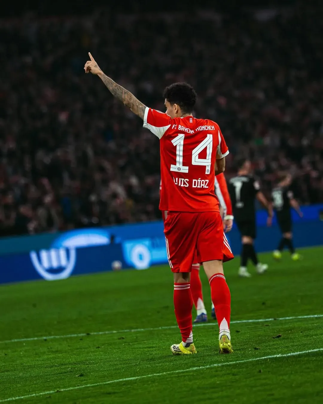 Luis Diaz: "Keluarga" Bayern Munich Sedang Bekerja Keras Demi Memenangkan Liga Champions