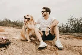 Di Tengah Maraknya Kontroversi, AI Buktikan Manfaat Nyata Bantu Pemilik Temukan Hewan Peliharaan yang Hilang