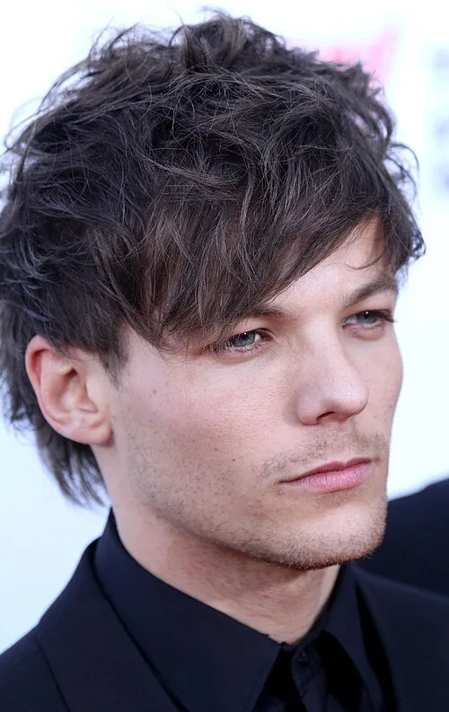 Dukungan Manis Niall Horan di Konser Louis Tomlinson Usai Rumor Perseteruan Fisik dengan Zayn Malik