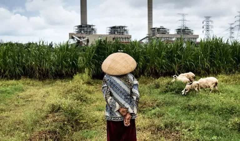 Transisi Energi Indonesia: Mengapa Jepang Harus Mendanai Penghentian PLTU Batu Bara demi Kedaulatan Iklim Asia