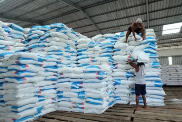 Deadline Krusial: Pemutakhiran e-RDKK Berakhir Hari Ini, Jaminan Akses Pupuk Subsidi Petani Dipertaruhkan