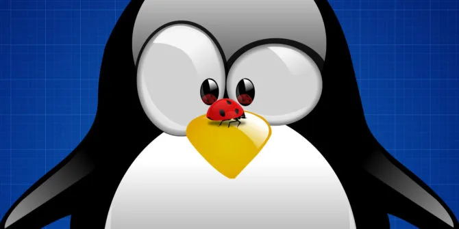 Waspada Dirty Frag: Bug Baru Kernel Linux yang Memungkinkan Akses Root Total Secara Instan