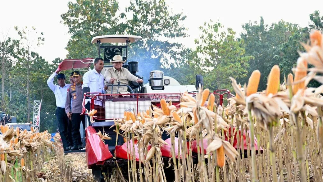 Modernisasi Pertanian: Presiden Prabowo Sopiri Traktor Pemanen dalam Panen Raya Jagung Serentak di Tuban