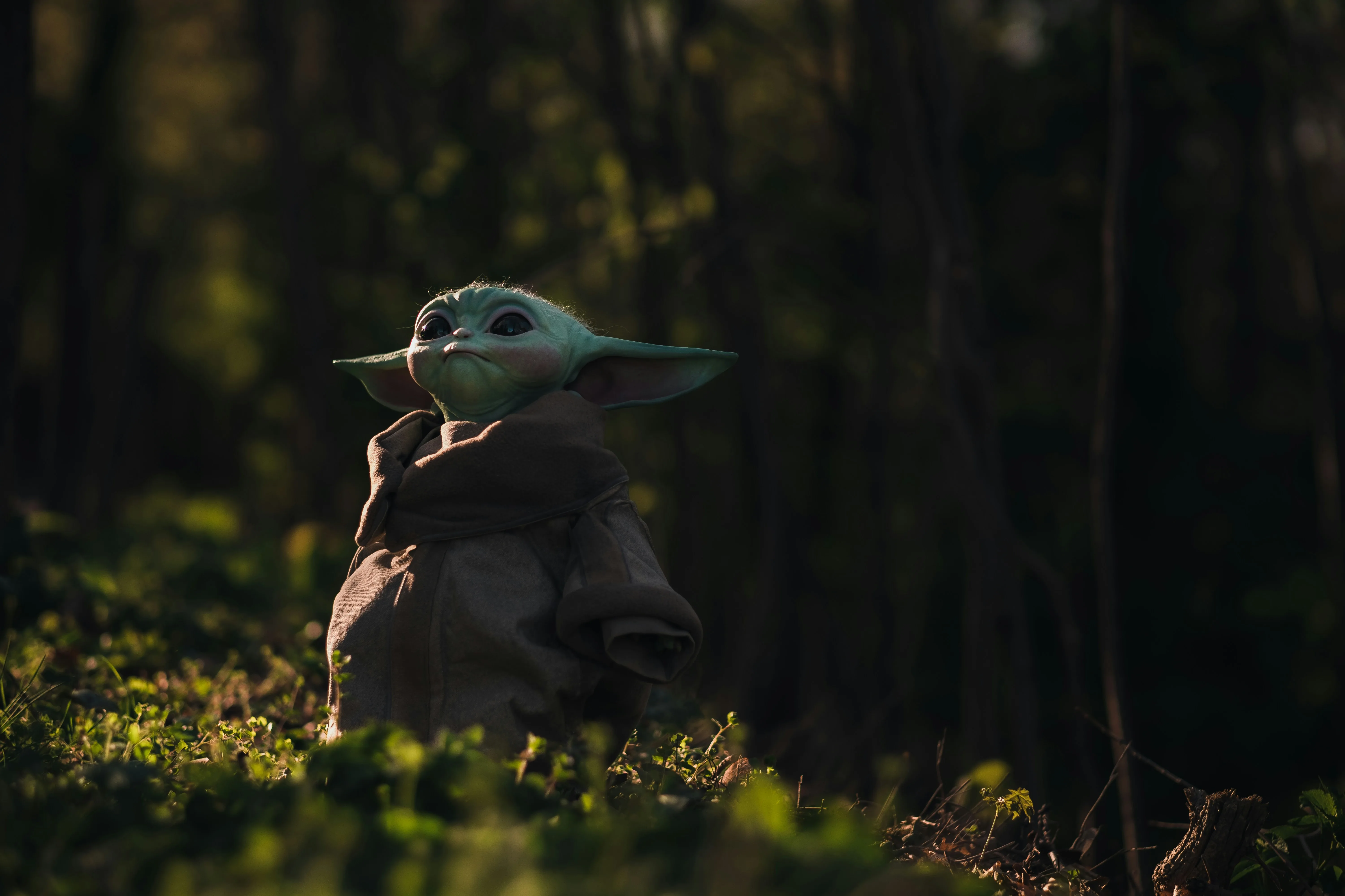 Pengisi Suara Yoda, Tom Kane, Meninggal Dunia di Usia 64 karena Komplikasi Stroke