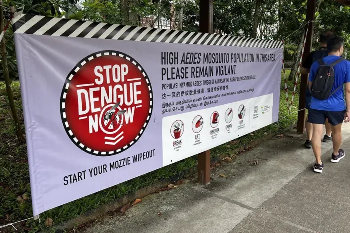 Singapura Siaga: Kasus DBD Tembus 119 dalam Sepekan, Tertinggi Sepanjang 2026