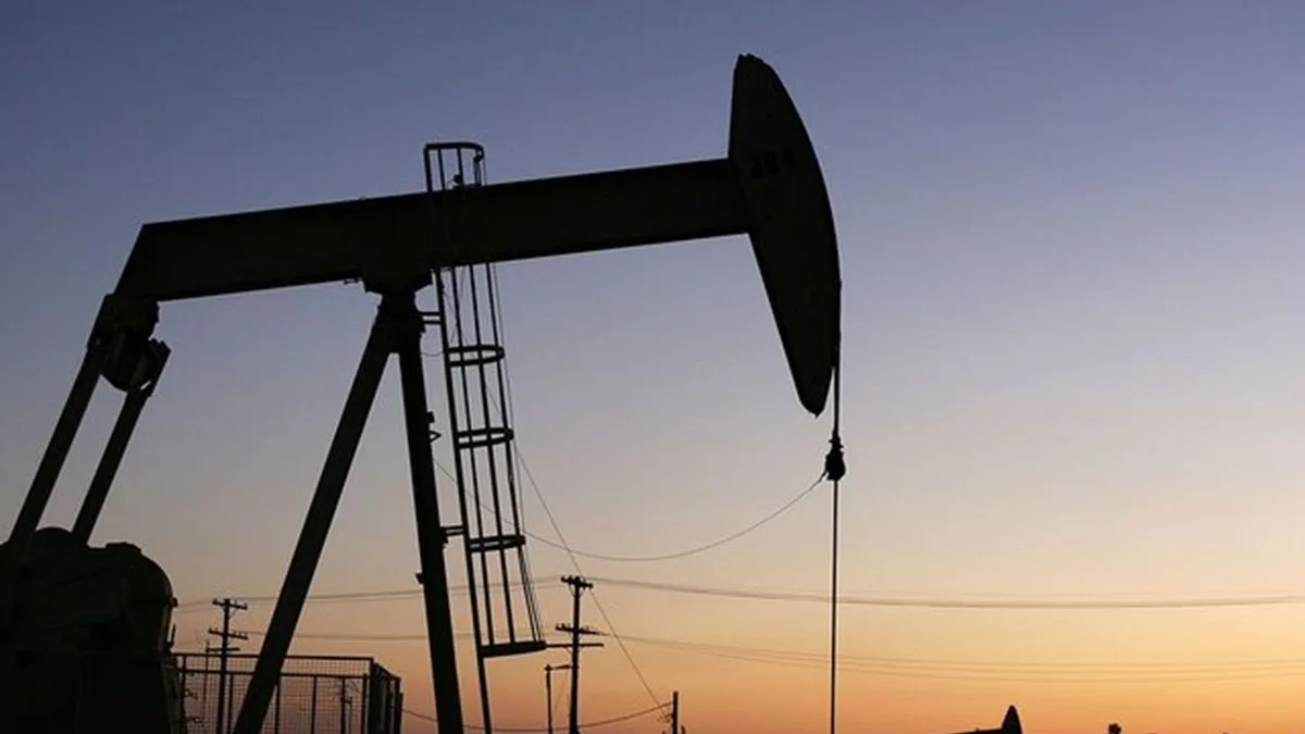 Nigeria Dorong Reformasi Energi: Kemitraan Publik-Swasta Jadi Kunci Transformasi