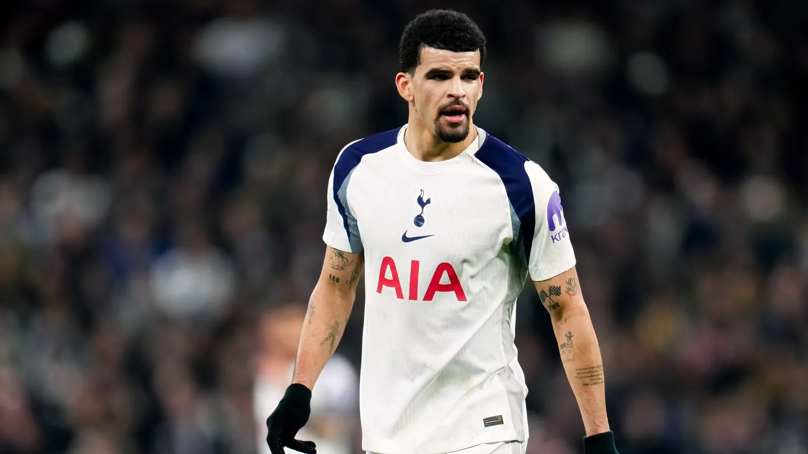 Tottenham Siap Lepas Solanke, Incar 'Lewandowski Baru' dari Hoffenheim
