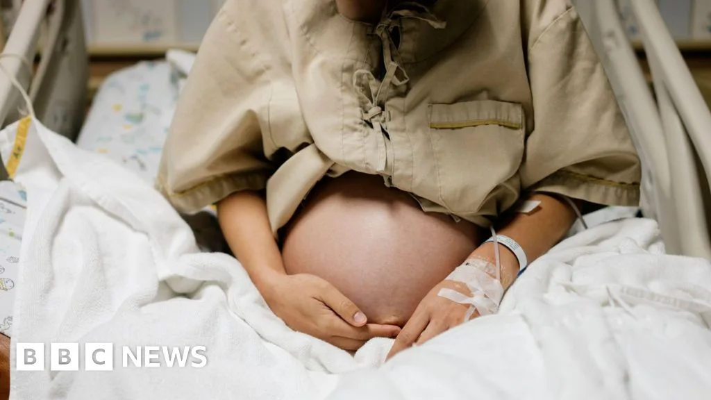 Korban Aborsi atau Pembunuh? Pengadilan Korea Selatan Bebaskan Ibu yang Bayinya Tewas di Freezer