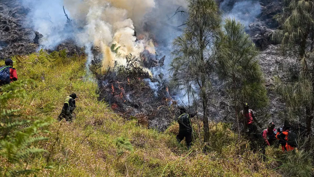 Kebakaran Gunung Bromo Meluas, Taman Nasional Ditutup: Ancaman El Nino dan Dampaknya bagi Pariwisata Indonesia