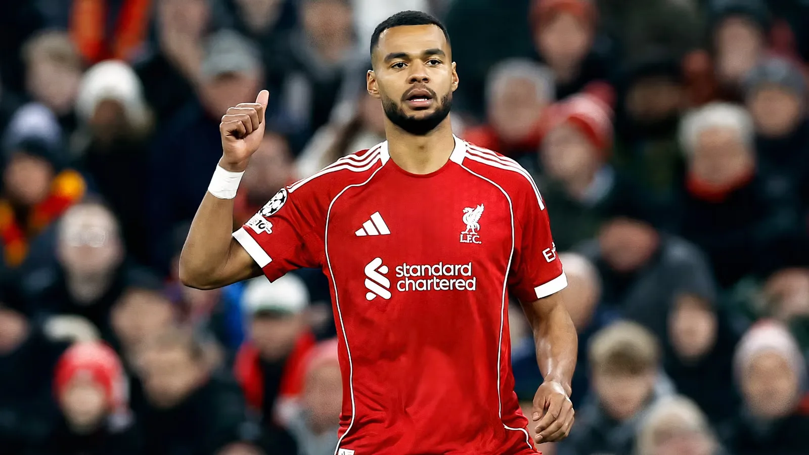 Tottenham Pertimbangkan Osimhen, Bukan Gakpo: Perbandingan Ketajaman yang Jauh Berbeda