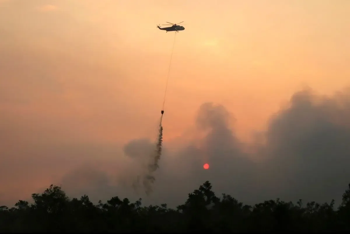 Kabut Asap Kebakaran Hutan Meluas, Kasus ISPA di Indonesia Melonjak 200 Ribu