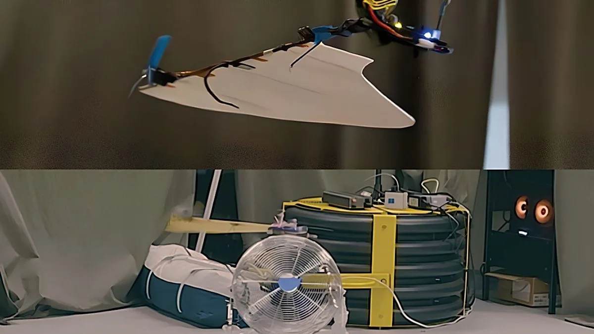 Drone Satu Aktuator ala Biji Maple Terbang Lebih Presisi, Error Turun 43,5%