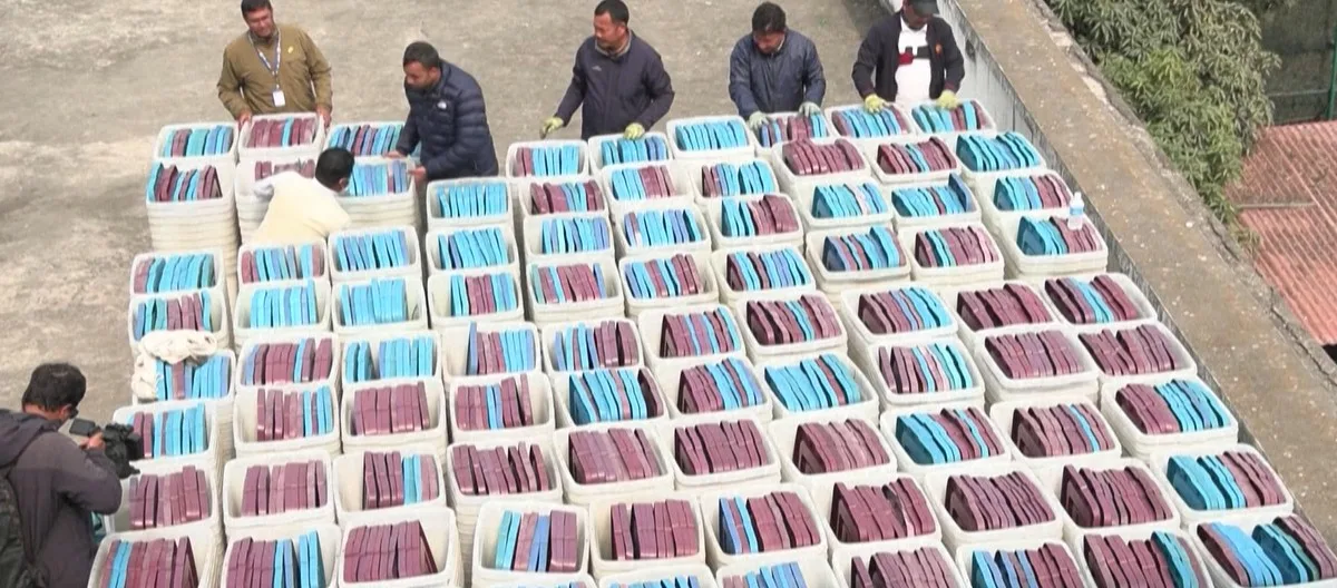 Pemilu Nepal 2026: Ujian Demokrasi Pasca-Revolusi Gen Z dan Ancaman Disrupsi Partai Tradisional