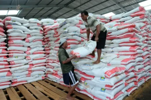 Strategi Ganda Pupuk Indonesia: Amankan Supply Chain Domestik Sambil Akselerasi Blue Ammonia