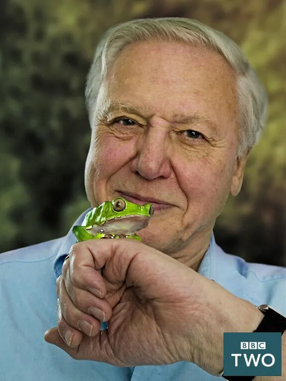 Rahasia Umur Panjang Sir David Attenborough: Enam Pelajaran Hidup Menuju Usia 100 Tahun